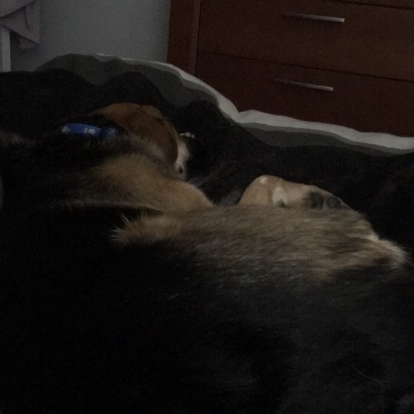 Meet your Posher, Kayley - Picture 1 of 1